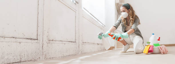 Why You Should Choose Our Mold Remediation Services in Prairieville, LA